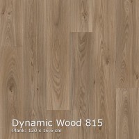 Dynamic Wood 815 Interfloor Vinyl 